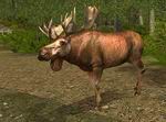 Cabela's Big Game Hunter 2006