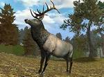 Cabela's Big Game Hunter 2006