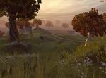 Twin Skies