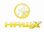 Tom Clancy’s H.A.W.X.