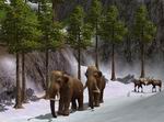 Wildlife Zoo: Deluxe Edition