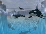 Wildlife Zoo: Deluxe Edition
