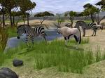 Wildlife Zoo: Deluxe Edition