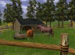Wildlife Park 2: Horses