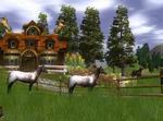 Wildlife Park 2: Horses