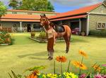 My Horse and Me 2