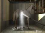 My Horse and Me 2
