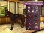 My Horse and Me 2