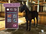 My Horse and Me 2