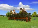 My Horse and Me 2