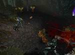 Dungeon Siege 2: Deluxe Edition