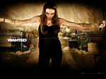 Wanted: Weapons of Fate