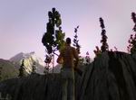 Deer Hunter Tournament