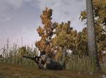 Deer Hunter Tournament