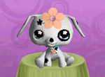 Littlest Pet Shop