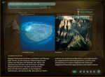 Geographicus