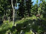 The Hunter