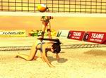 Sunshine Beach Volleyball