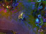League of Legends: Clash of Fates