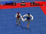Tae Kwon Do World Champion