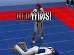 Tae Kwon Do World Champion