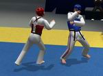 Tae Kwon Do World Champion