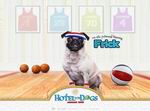 Hotel for Dogs