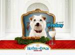 Hotel for Dogs