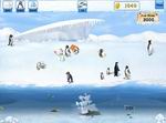 Penguins Mania
