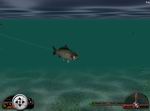 In-Fisherman Freshwater Trophies
