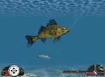 In-Fisherman Freshwater Trophies