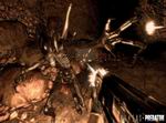 Aliens vs. Predator