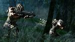 Lost Planet 2