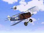 Rise of Flight