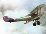 Rise of Flight