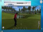 Tiger Woods PGA Tour Online