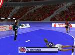 Handball Manager 2009: World Edition