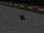 F1 Mania 2009
