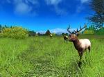 Hunting Unlimited 2010