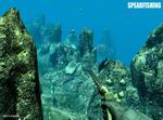 Spearfishing