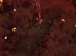 Sacred 2: Ice & Blood