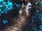 Sacred 2: Ice & Blood
