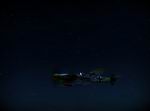 Wings of Prey