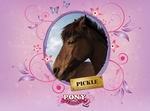 Pony Friends 2