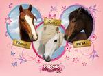 Pony Friends 2