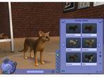 The Sims 2: Fun with Pets Collection
