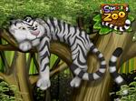 Simplz: Zoo