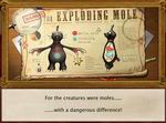 Mole Control