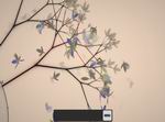 Eufloria