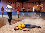 My Horse Gang
